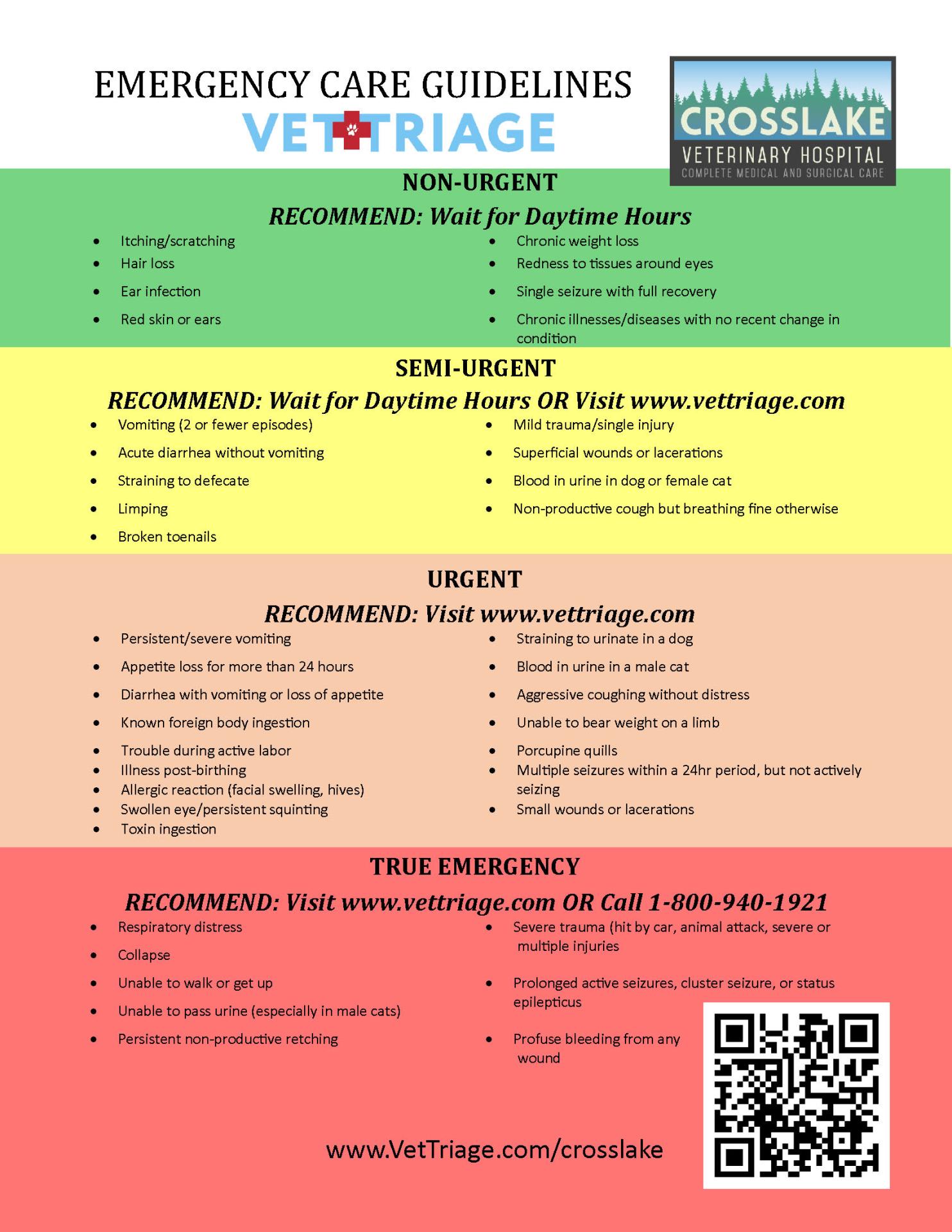 Triage-Flow-Chart