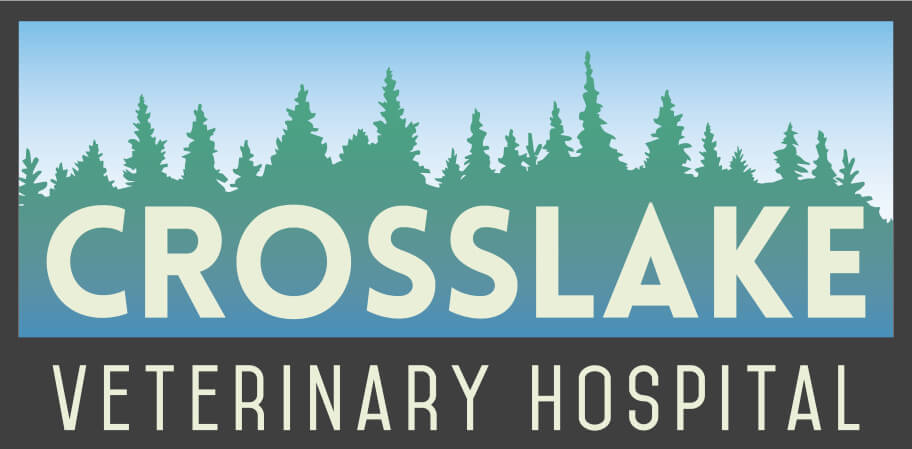 Crosslake Veterinary Hospital