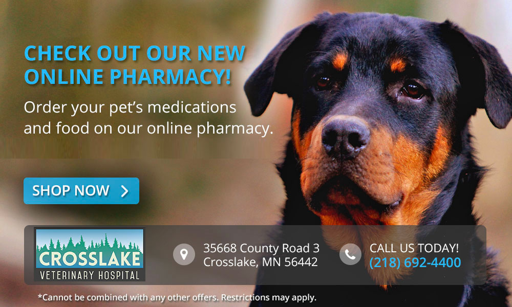 Online Pharmacy | Crosslake Veterinary Hospital